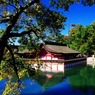 潮にうかぶ