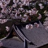 さくら