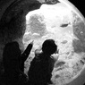先ヲ見テ　夢ヲ見テ