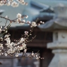 曽根天満宮にて