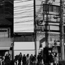 IMG_9341@