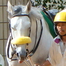 同じ表情