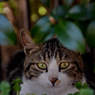 DSC_3136