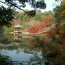 成田山72
