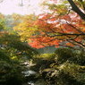 成田山79