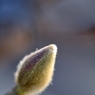 3月6日