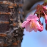 3月6日