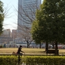 yokohama1