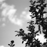空