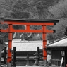 愛宕参詣道　鳥居本