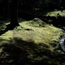 IMG_3397