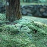 IMG_3408