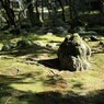 IMG_3419