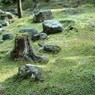 IMG_3422