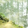 お気に入り
