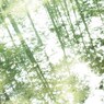 お気に入り