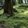 IMG_3549