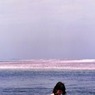 海