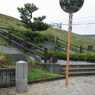 東見附の松