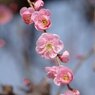 DSC00011
