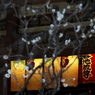 春の匂い