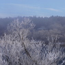 DSC01975