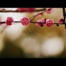 小梅太夫…