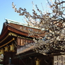 お礼参り