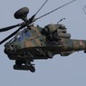 築城基地航空祭2012　AH-64D