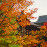 興福寺染まる
