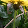 2013 3 17 134