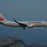 JAL B737-800