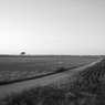 weg