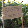 R0011682r