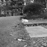 寂しいなあ、、