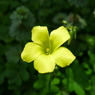 P1160039