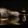 三溪園の夜桜2013年3月23日