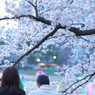 親子の夕暮れ