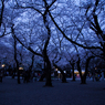 YASUKUNI #5