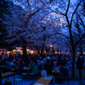 YASUKUNI #11