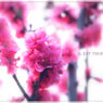 pink pink pink