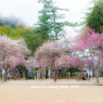 UME@2013