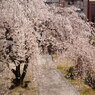 2013.3.26