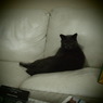 20090823ぐり2