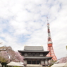 増上寺です