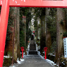 箱根神社鳥居