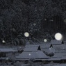 i眠りにつく-----