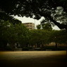 20090821常盤公園2