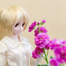 ドールと花