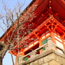 清水寺、仁王像